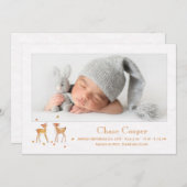秋の子鹿の写真出産発表 案内状 (正面/裏面)
