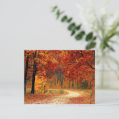 秋の季節の色 ポストカード (スタンド正面)