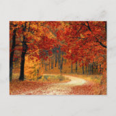 秋の季節の色 ポストカード (正面)