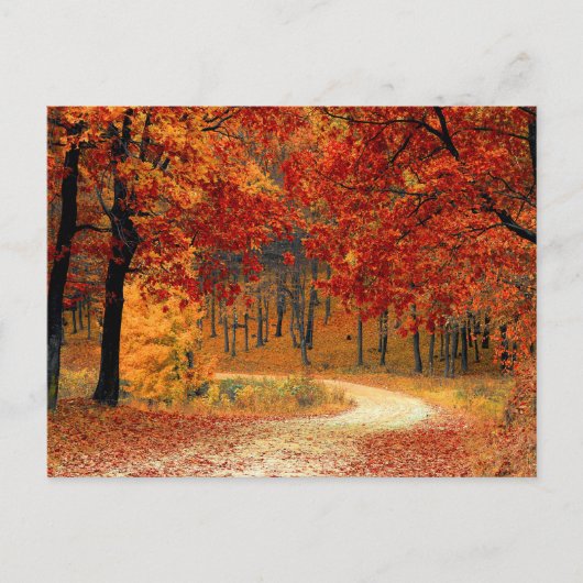 秋の季節の色 ポストカード (正面)