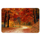 秋の季節の色 マグネット (横)