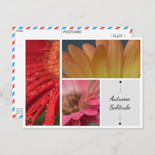 秋の孤独 – フローラ水滴はがき ポストカード (正面/裏面)