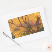 秋の守護者ステッカー 長方形シール (封筒)