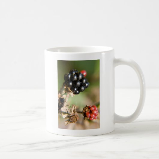秋の実り コーヒーマグカップ (右)