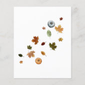 秋の小さなかぼちゃの水の色ベビーシャワー (裏面)