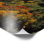 秋の山嵐の大鯉川 フォトプリント            (角)