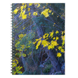 秋の山6 ノートブック