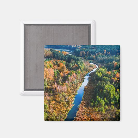 秋の川と森カラフルの空中眺め マグネット (正面/裏面)