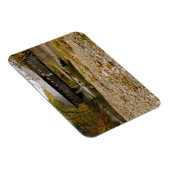 秋の川に架かるニューリーの屋根付き橋 マグネット (右側)