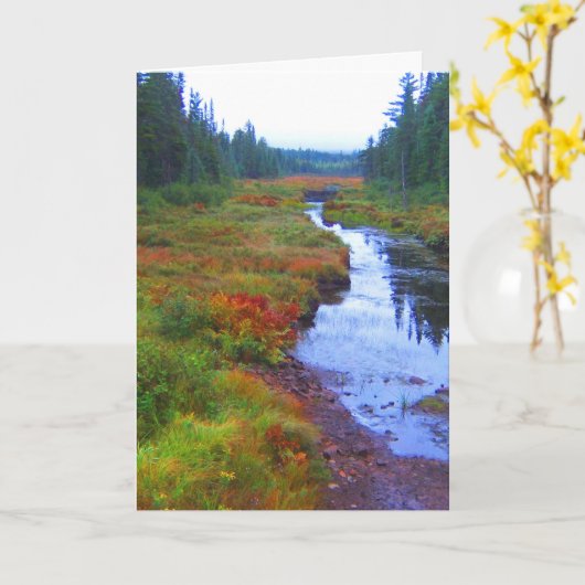 秋の川の景色 カード (黄色い花)