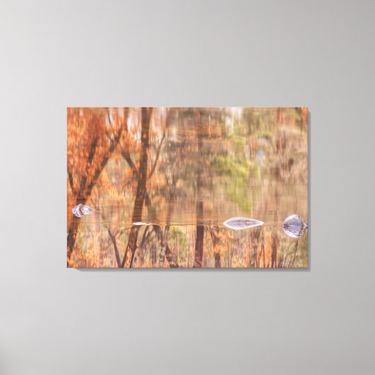 秋の川反射 キャンバスプリント (正面)