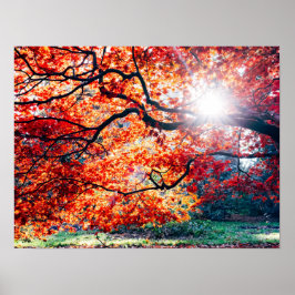 秋の幻想的な色で ポスター