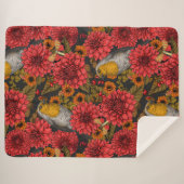 秋の庭のロビンズブラックの赤いダリア シェルパブランケット (正面(横))