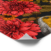 秋の庭のロビンズブラックの赤いダリア ポスター (角)