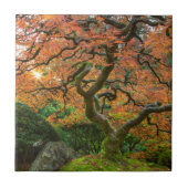 秋の庭日本ののカエデ タイル (正面)