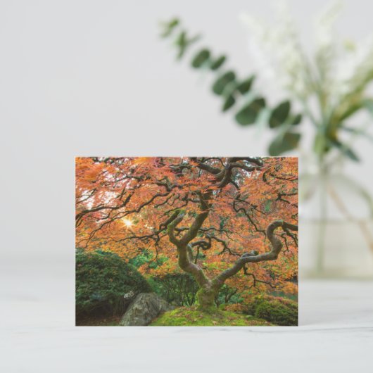 秋の庭日本ののカエデ ポストカード (スタンド正面)