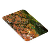 秋の庭日本ののカエデ マグネット (右側)