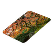 秋の庭日本ののカエデ マグネット (左側)