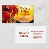 秋の庭葉の美しい赤いつる植物 名刺 (正面/裏面)