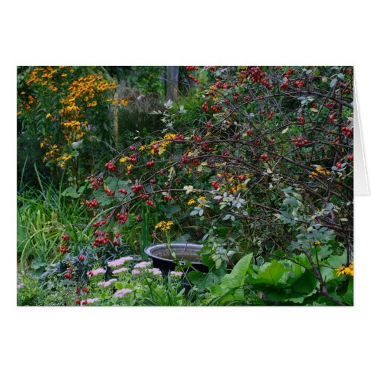 秋の庭 (正面横)