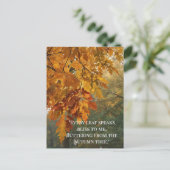 秋の引用文の森の木離れ々の道 ポストカード (スタンド正面)