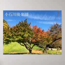 秋の彩りあるイロハカエデ ポスター