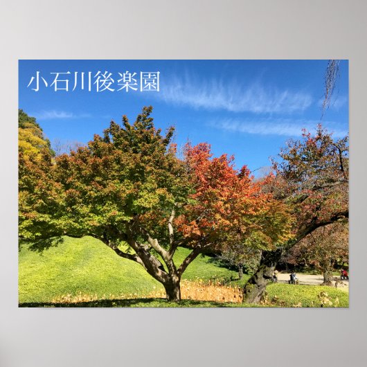 秋の彩りあるイロハカエデ ポスター (正面)