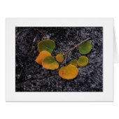 秋の影 (正面横)