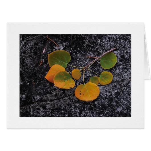 秋の影 (正面横)