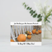 秋の恵み「I 恋しく思 YOU」ことわざハイハガキ ポストカード (スタンド正面)