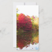 秋の悔やみや弔慰メモリアルフラットサンキュー サンキューカード (裏面)