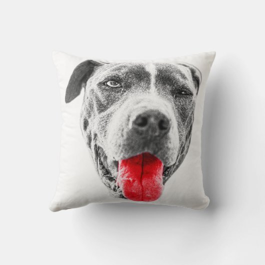 秋の悪いウインク クッション (裏面)