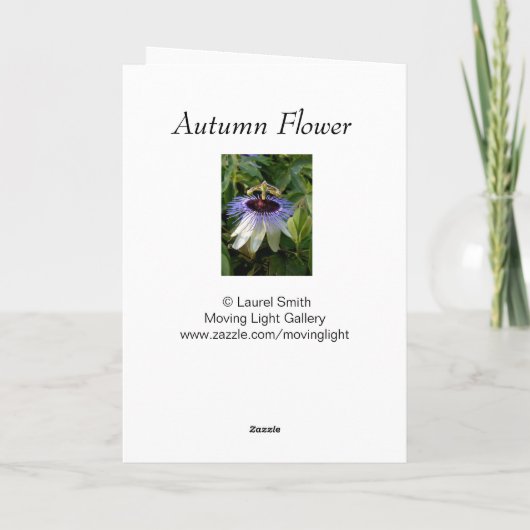 秋の情熱花 カード (裏面)