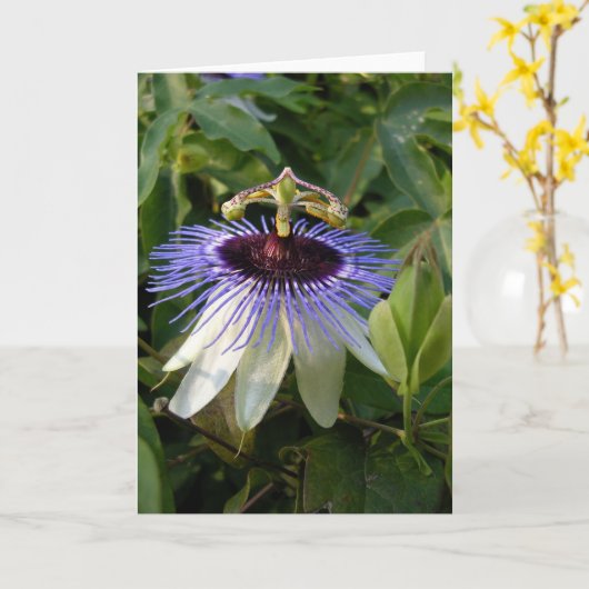 秋の情熱花 カード (黄色い花)