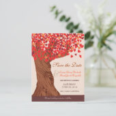 秋の愛ロマンチックオークの木 Save the Date セーブザデート (スタンド正面)