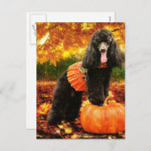 秋の感謝祭- Gidget -プードル シーズンポストカード (正面/裏面)
