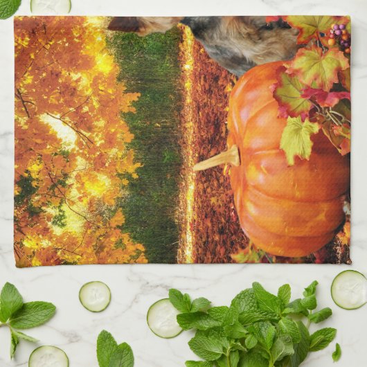 秋の感謝祭- Tucker -ヨークシャーテリア キッチンタオル (折り畳み)