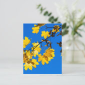 秋の憂鬱 ポストカード (スタンド正面)