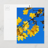 秋の憂鬱 ポストカード (正面/裏面)