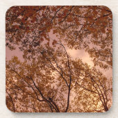 '秋の抽象芸術'コルクコースターセット コースター (正面)