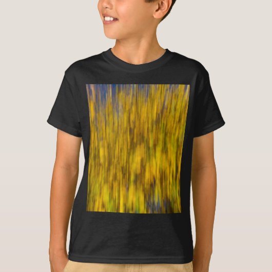秋の抽象芸術 Tシャツ (正面)