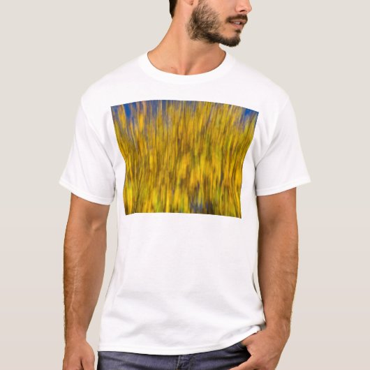 秋の抽象芸術 Tシャツ (正面)