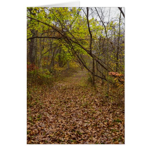 秋の散歩道グリーティングカード (正面)