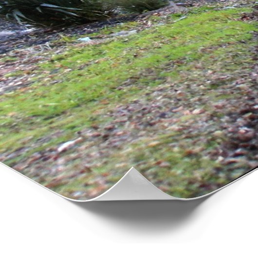 秋の散歩 ポスター (角)