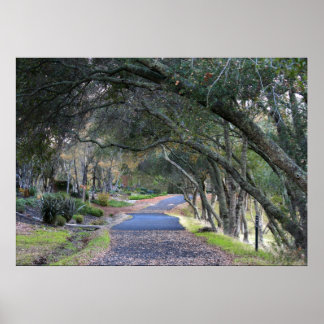 秋の散歩 ポスター