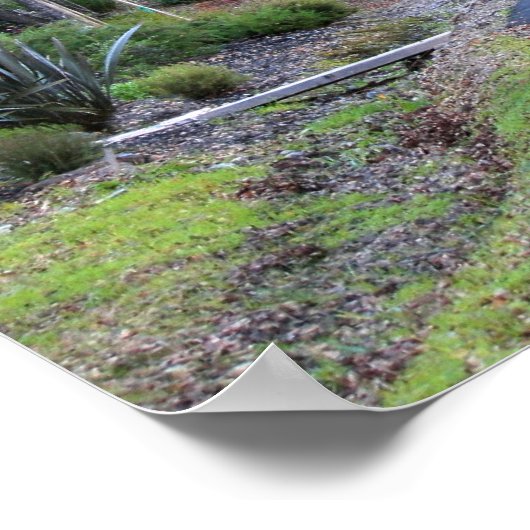 秋の散歩 ポスター (角)