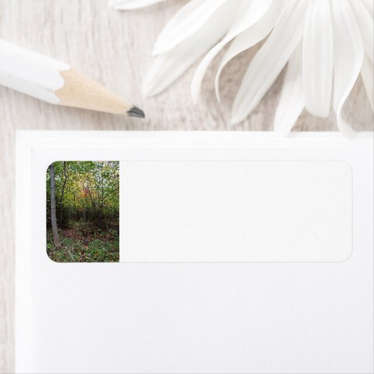 秋の散歩 ラベル (インサイチュ)