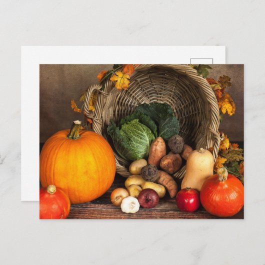 秋の新鮮な農産物 ポストカード (正面/裏面)