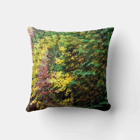 秋の旋風…..... クッション (裏面)