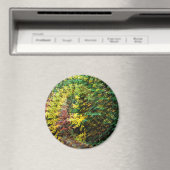 秋の旋風…..... マグネット (インサイチュ (食洗機))